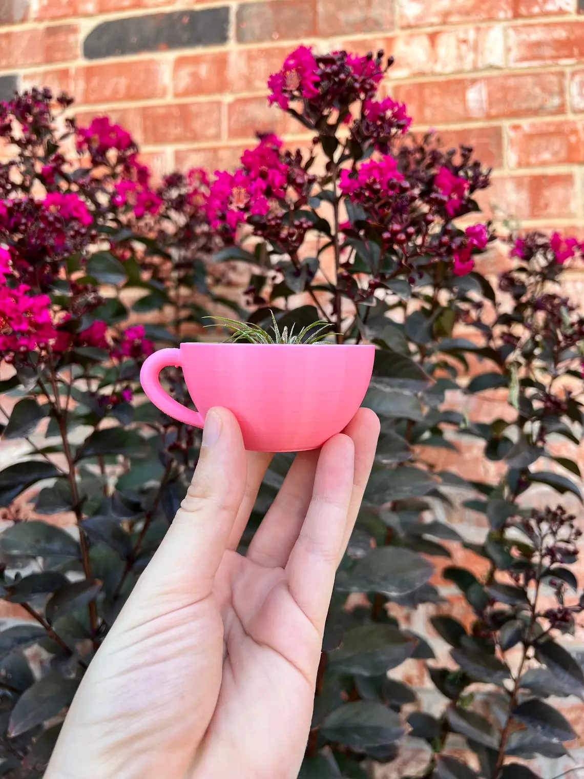 Modern 3D Printed Tea Cup Succulent Planter with Drainage - Indoor Home Decor Gift