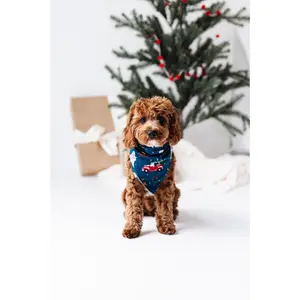 PET BANDANA - RUDOLPH© & FRIENDS