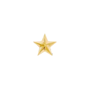 Nautical Star Pin - 14K Gold Star Threadless End