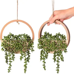 2 count    Artificial  Wooden  Planter Artificial String of  with Pot and Lanyard for Living Room Bathroom Indoor Outdoor Boho Wall Decor