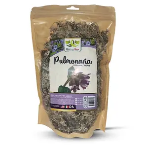 Pulmonaria Herb Hierba Herbal Tea 4 oz.-113g Natural Mexican Herb Hierba Wild Crafted