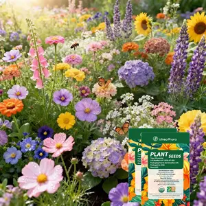 Wildflower Seed Mix for Home Gardens, Pollinator-Friendly, Easy to Grow Annuals and Perennials, Colorful Meadow Blooms, Suitable for Outdoor Planting