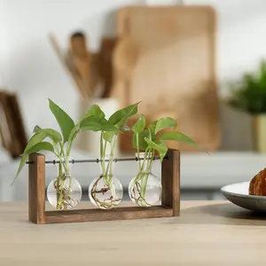 Stylish Plant Propagation Station for Wall and Counter Decor