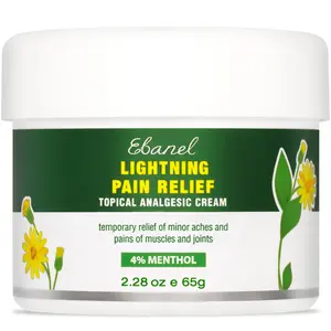 Ebanel Muscle & Joint Pain Cream, Arnica Gel with Menthol & MSM