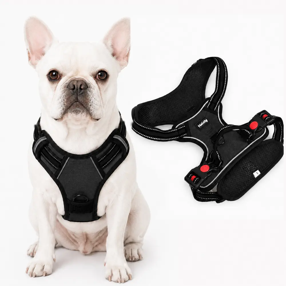 Helety Premium Black Dog Harness, Adjustable Padded Walking Harness with Secure Quick-Release Buckles, Reflective Webbing & Leash Attachment for Everyday Control