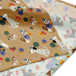 Pawty starter 2-in-1 bandana