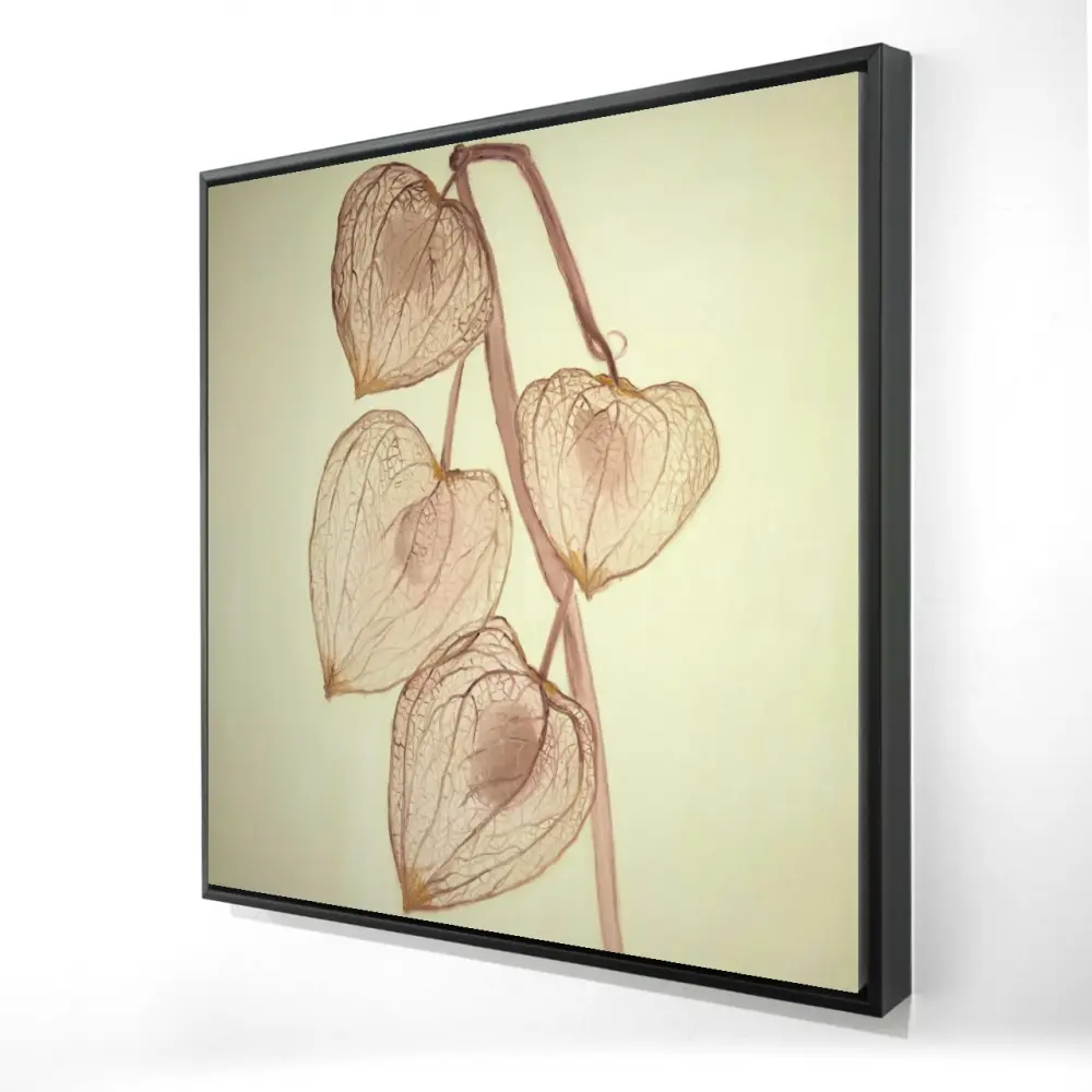 Begin Home Decor 2081-2424-FL276 24 x 24 in. Floral & Botanical Brown Framed Canvas - Growing Ground Cherries