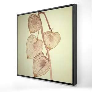 Begin Home Decor 2081-2424-FL276 24 x 24 in. Floral & Botanical Brown Framed Canvas - Growing Ground Cherries