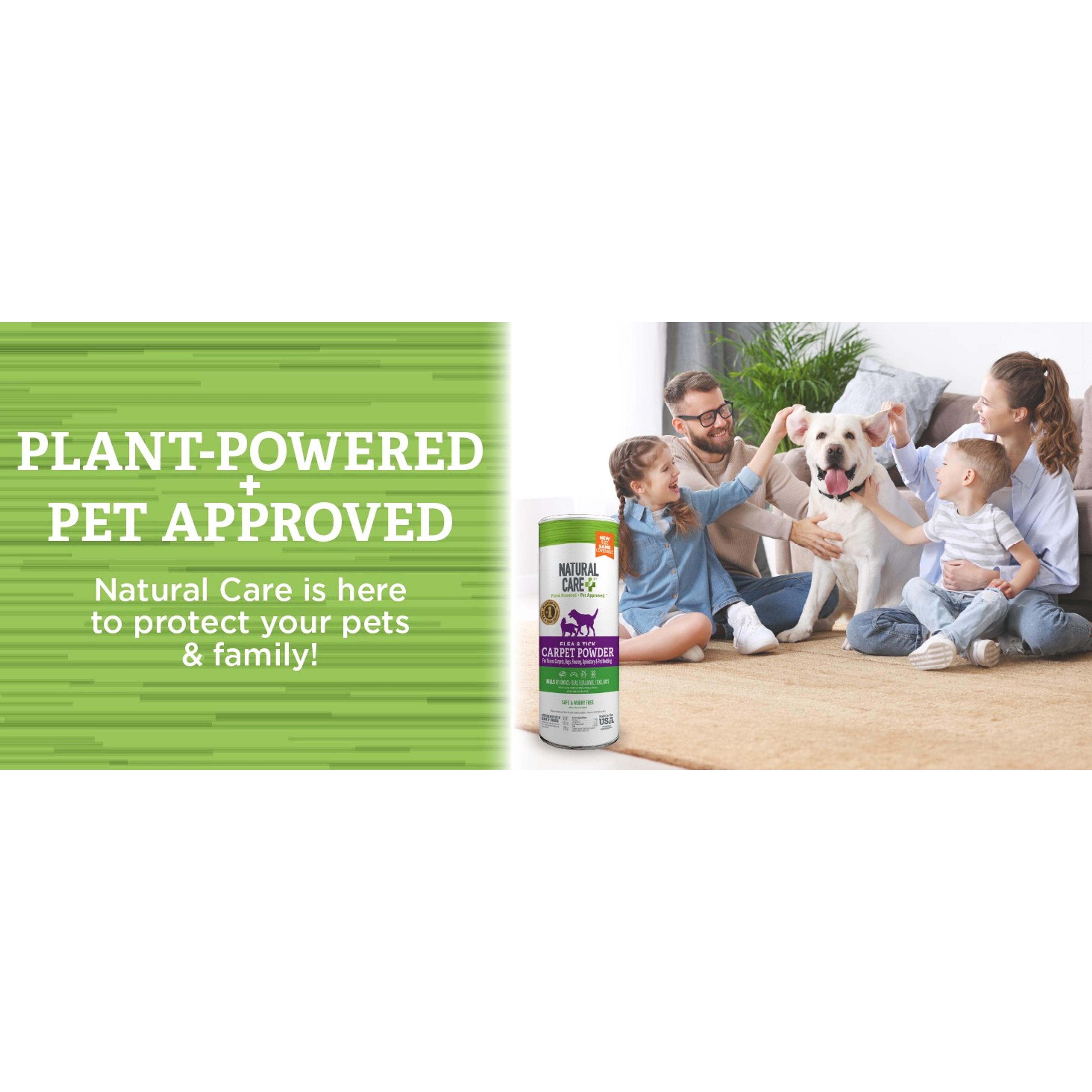 Flea & Tick Carpet Powder, 8.1oz – Carpet, Rug & Pet Bedding Treatment for Flea Prevention, Tick Control, Home Pest Control & Carpet Freshener, Easy ApplicationGift Flea & Tick Carpet Powder, 8.1oz – Carpet, Rug & Pet Bedding Treatment for Flea Prevention, Tick Control, Home Pest Control & Carpet Freshener, Easy ApplicationGift