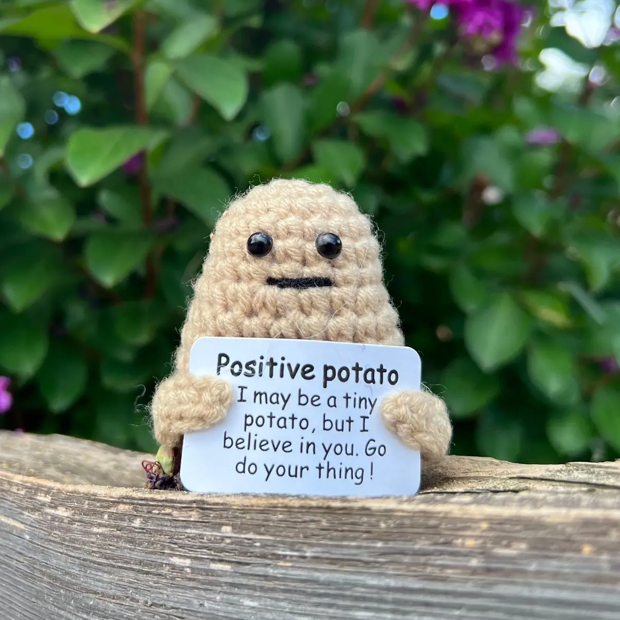 Positive Potato | Crochet Potato | Happy Potato