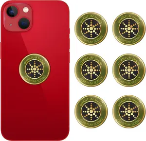 [6 Pcs] Ｅм F Stickers - For Phones, Laptops, Fridges, and More - Gold/Silver for Smartphones, Cases, and Devices