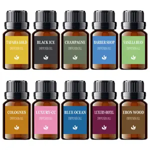 【NEW】10PCS Essential Oil Set - Scented Perfume Air Freshener Fragrance Refill Liquid for Aroma Humidifier,Car Air Freshener Diffuser,Home&Car Fragrance Gift Set