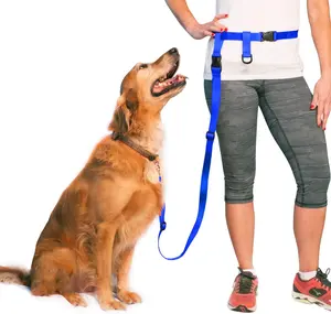 The Buddy System Hands Free Dog Leash, Adjustable Leash for Running, Jogging, Training and Service Dogs, Great for Small, Medium and Large Dogs, Made in USA (Royal Blue, Large Belt (27"- 50" Waist))