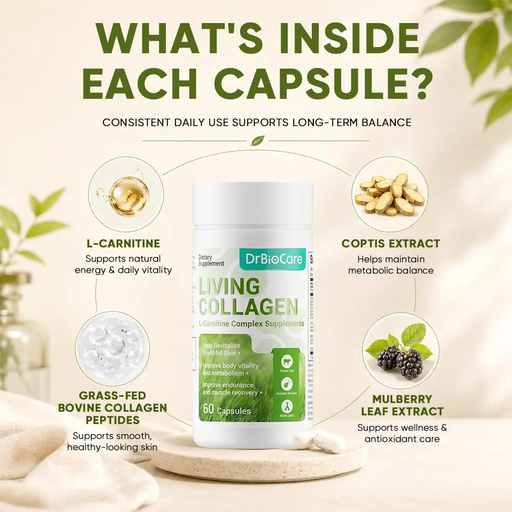 l carnitine and collagen Glowming Our peach ring flavored liquid collagen has less than 1g of sugar and no artificial flavors Set: L-Carnitine orange flavor +