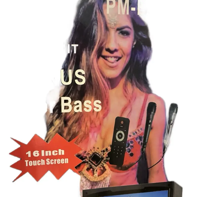 16 inches touch screen with 2 12 inches Bluetooth portable rechargeable speaker