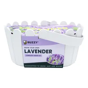 Lavender Grow Kit | White Basket Planter