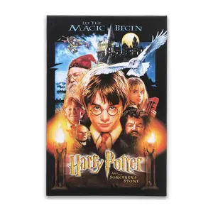 Harry Potter Gallery Wrapped Canvas by Open Roads