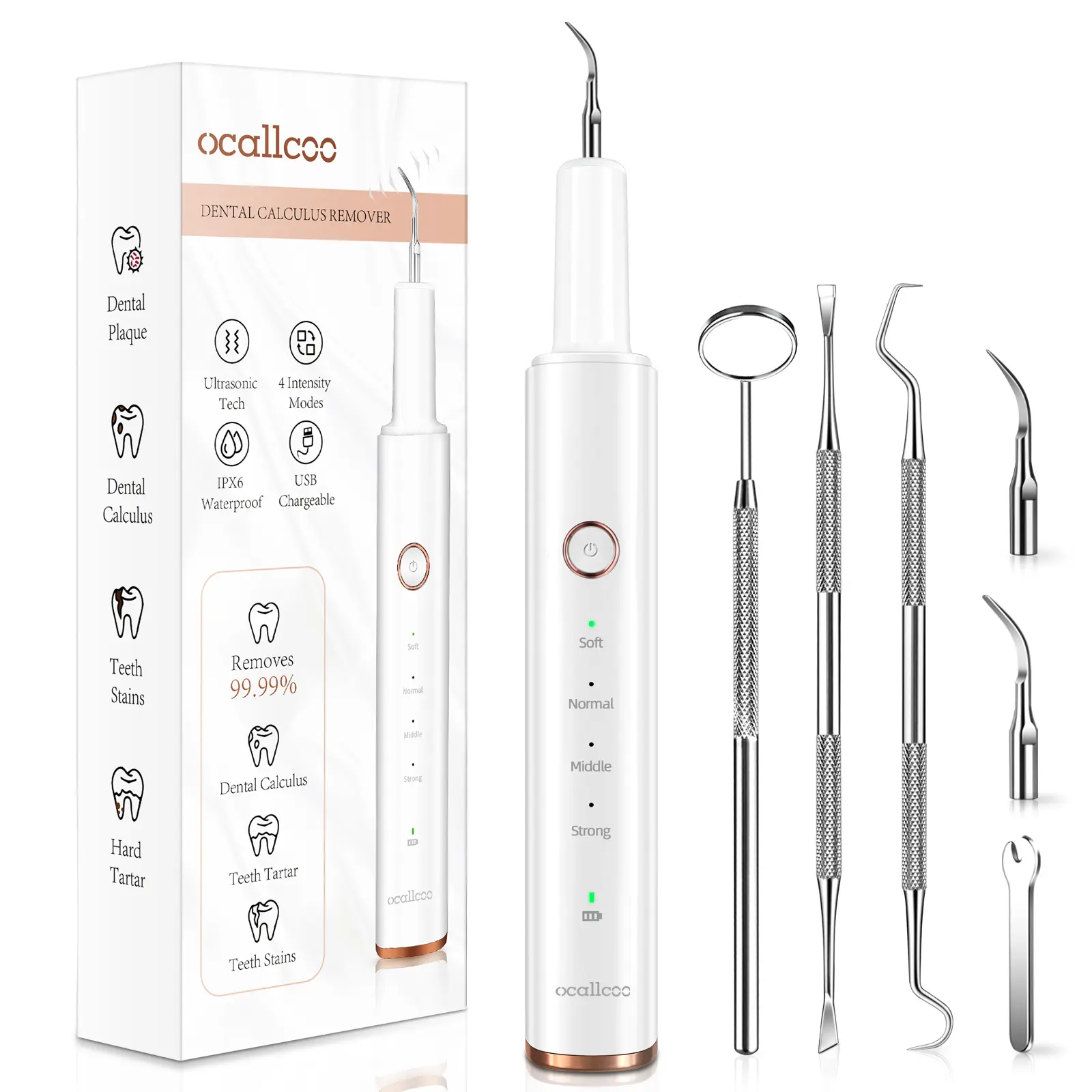 Plaque Remover for Teeth, Electric Tooth Cleaner Tartar Remover for Teeth with LED Light,4 Modes Rechargeable Teeth Cleaning Kit with Dental Tools, 2 Replaceable Heads