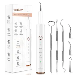 Plaque Remover for Teeth, Electric Tooth Cleaner Tartar Remover for Teeth with LED Light,4 Modes Rechargeable Teeth Cleaning Kit with Dental Tools, 2 Replaceable Heads