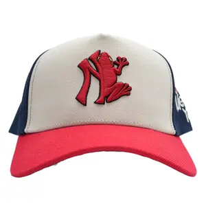NY COQUI SNAPBACK - Dedicated to Puerto Rico