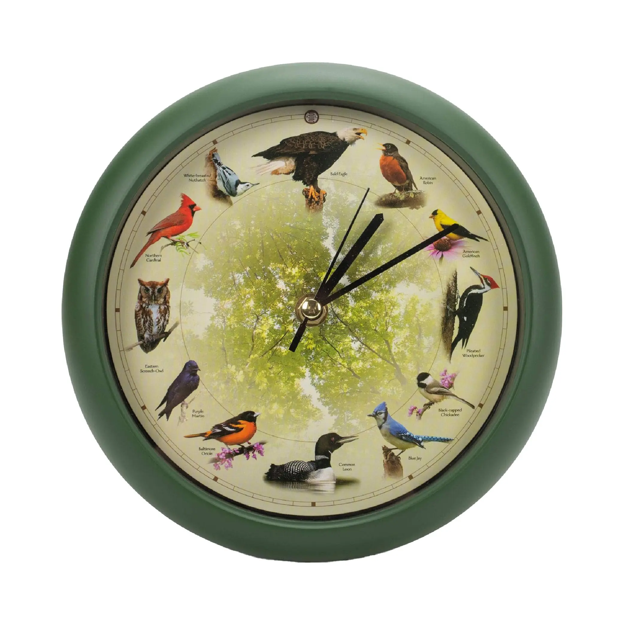 Edition 20th Anniversary Singing Bird Desk & Wall Clock, 8 Inch, Green Matte Finish – Features 12 Authentic North American Bird Songs Every Hour, Smart Light Sensor for Silent Nights, Battery Operated Nature Clock for Bird Lovers & Collectors"