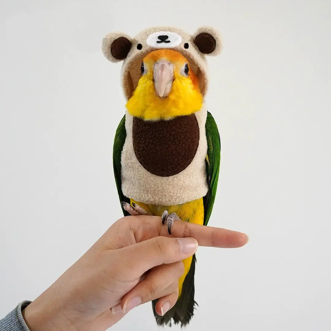 Cute Bear Bird Costume for Parrots, Warm Bird Cloak Outfit, Soft Cosplay Clothes for Cockatiels, Conures, Parakeets & Small Pet Birds