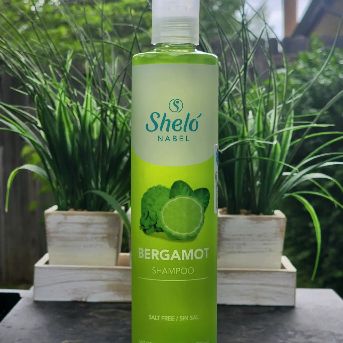 Bergamot Hair loss Shapoo by Shelo nabel Bergamot Hair loss Shapoo by Shelo nabel