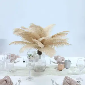 12 Pack 13"-15" Beige Natural Plume Real Ostrich Feathers, DIY Centerpiece Fillers