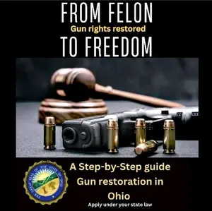 From Felon to Freedom (Paperback)