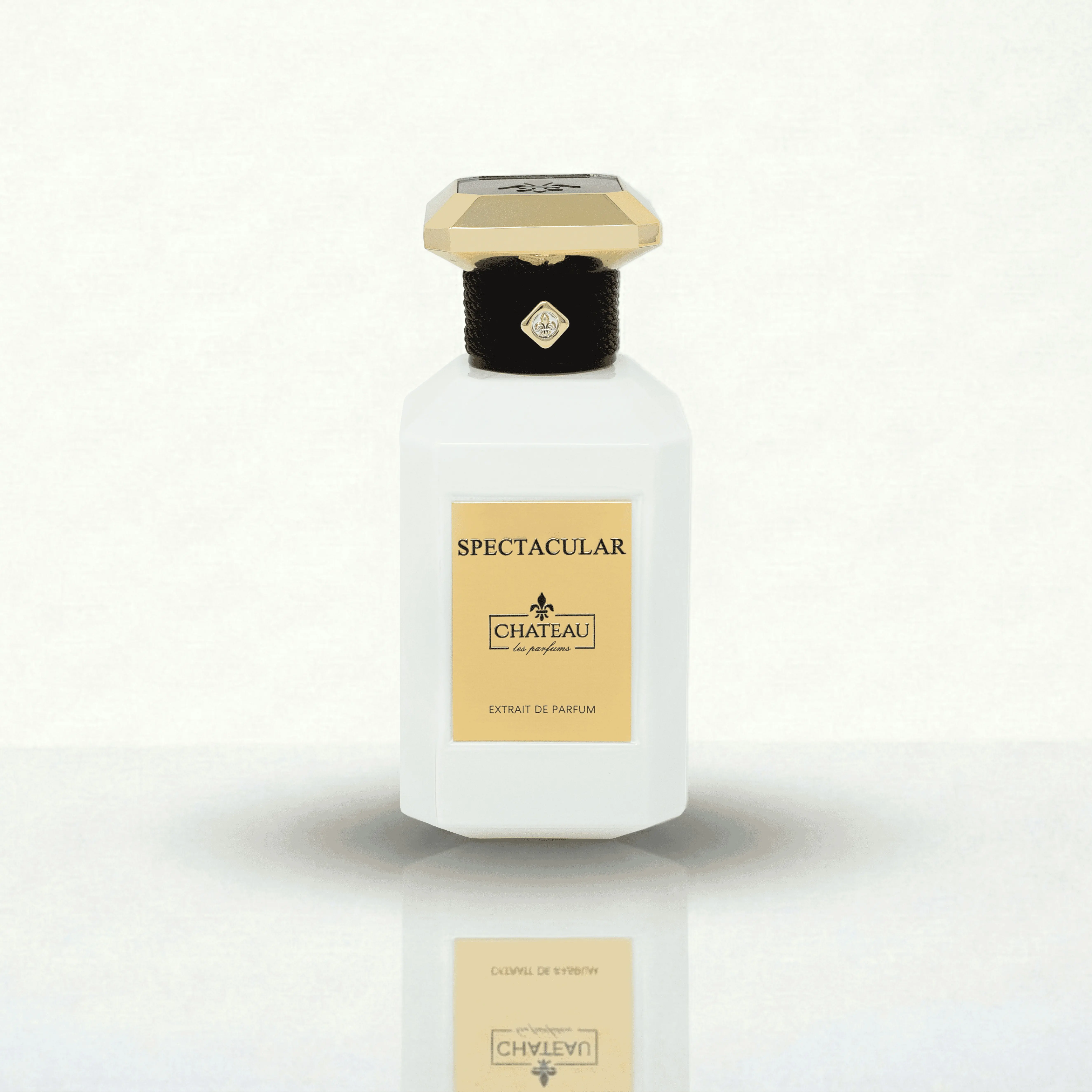 Chateau Les Parfums Spectacular Extrait De Parfum 3.4 oz