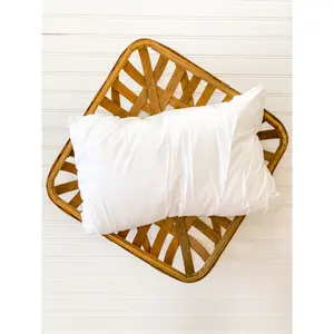 Pillow Insert