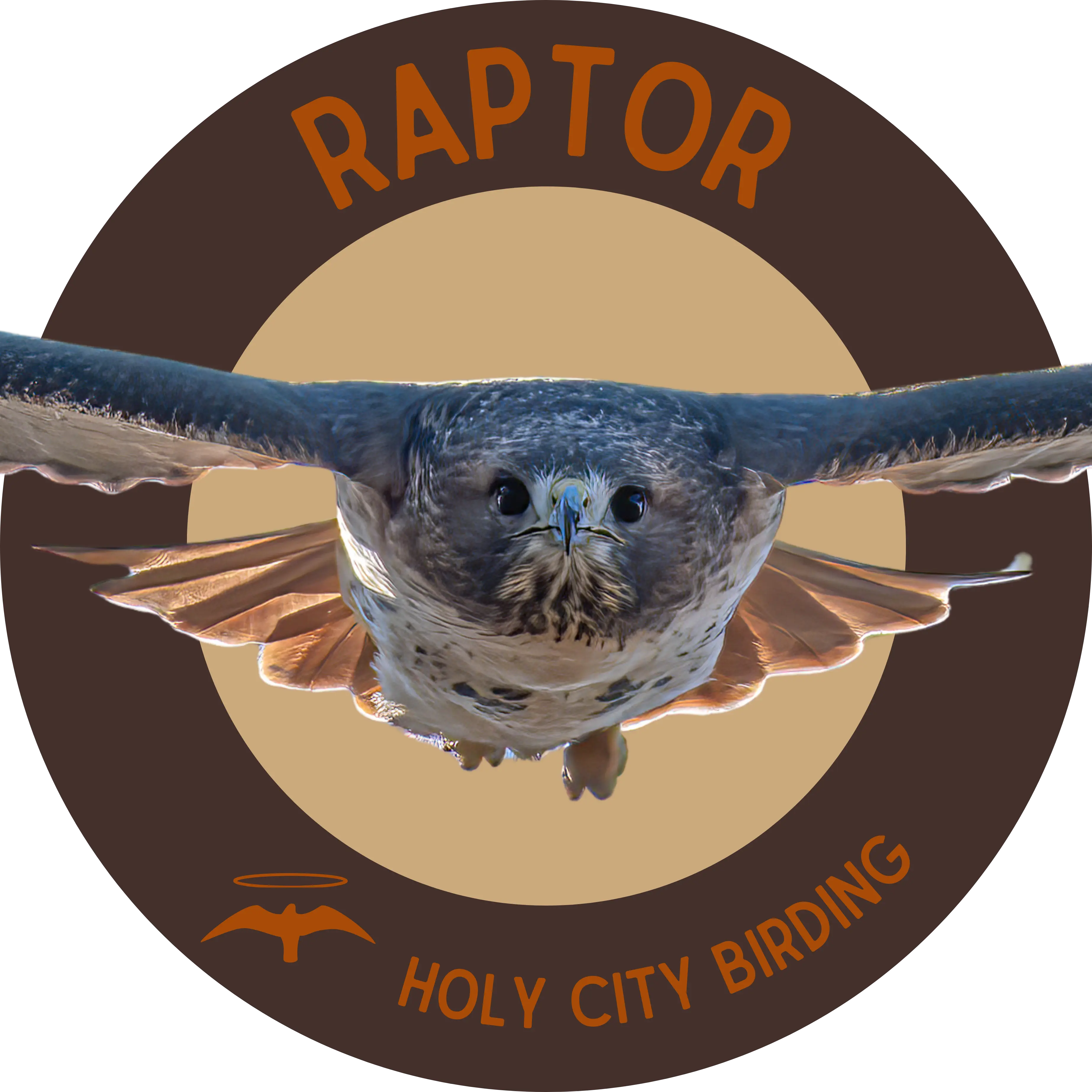 RAPTOR Sticker