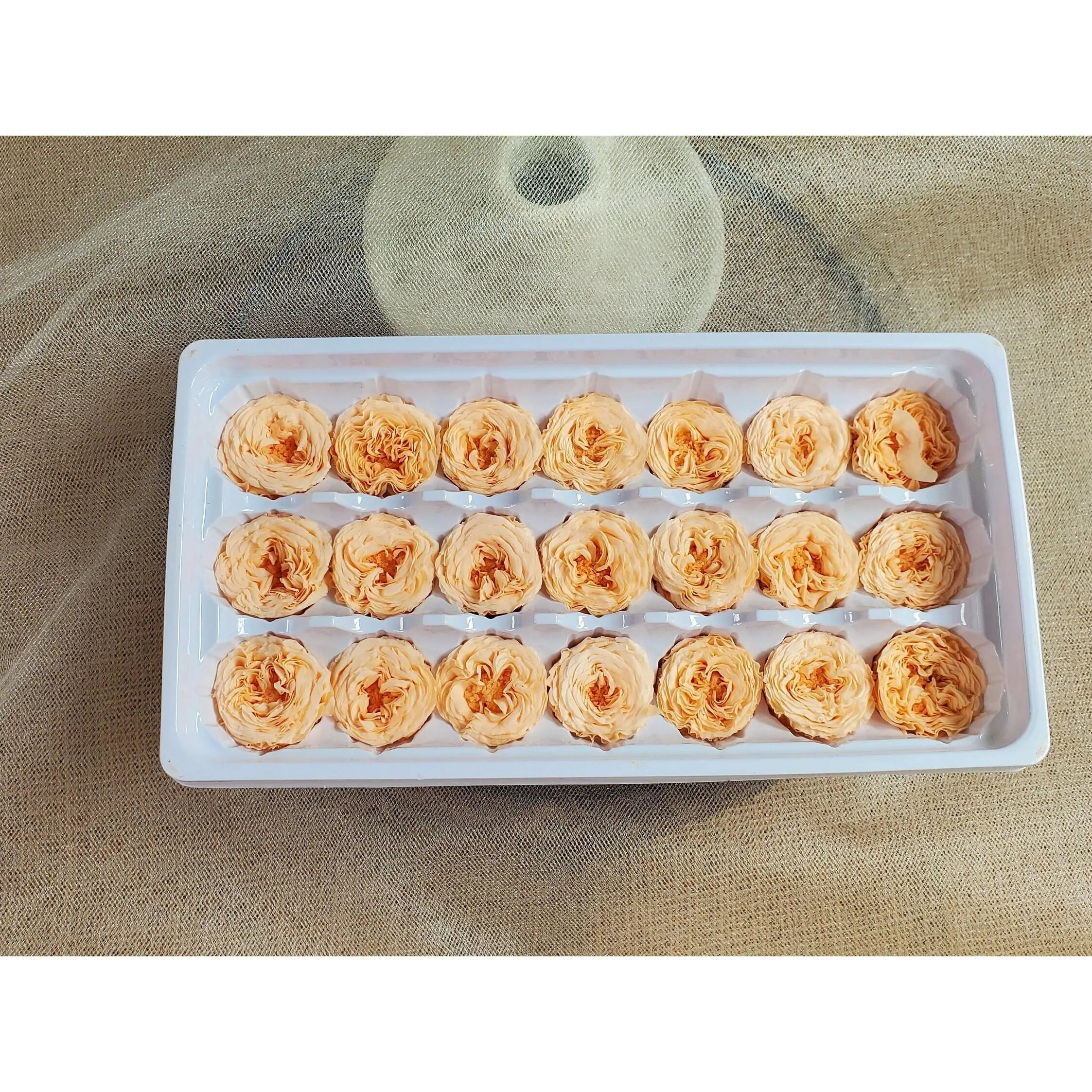 21 Preserved Roses Champagne, Dried Flower / Prom, Mother's Day, Wedding Decor, Vase, Home Decor & DIY Floral Arrangements
