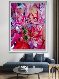 Original Photo Name 'Chill Patty Raindrops' 11x17 Prints White Paper