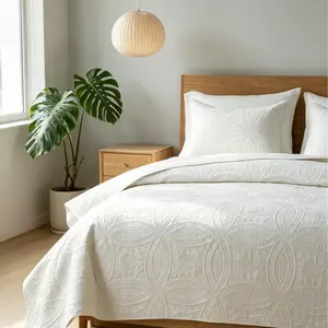 Queen Size 3-Piece Coin Pattern Ultrasonic Bedding Set, Soft High-Density Brushed Polyester Solid Color Stitch-Free Lightweight Coverlet, Durable All-Seasons Machine-Washable Bedspread