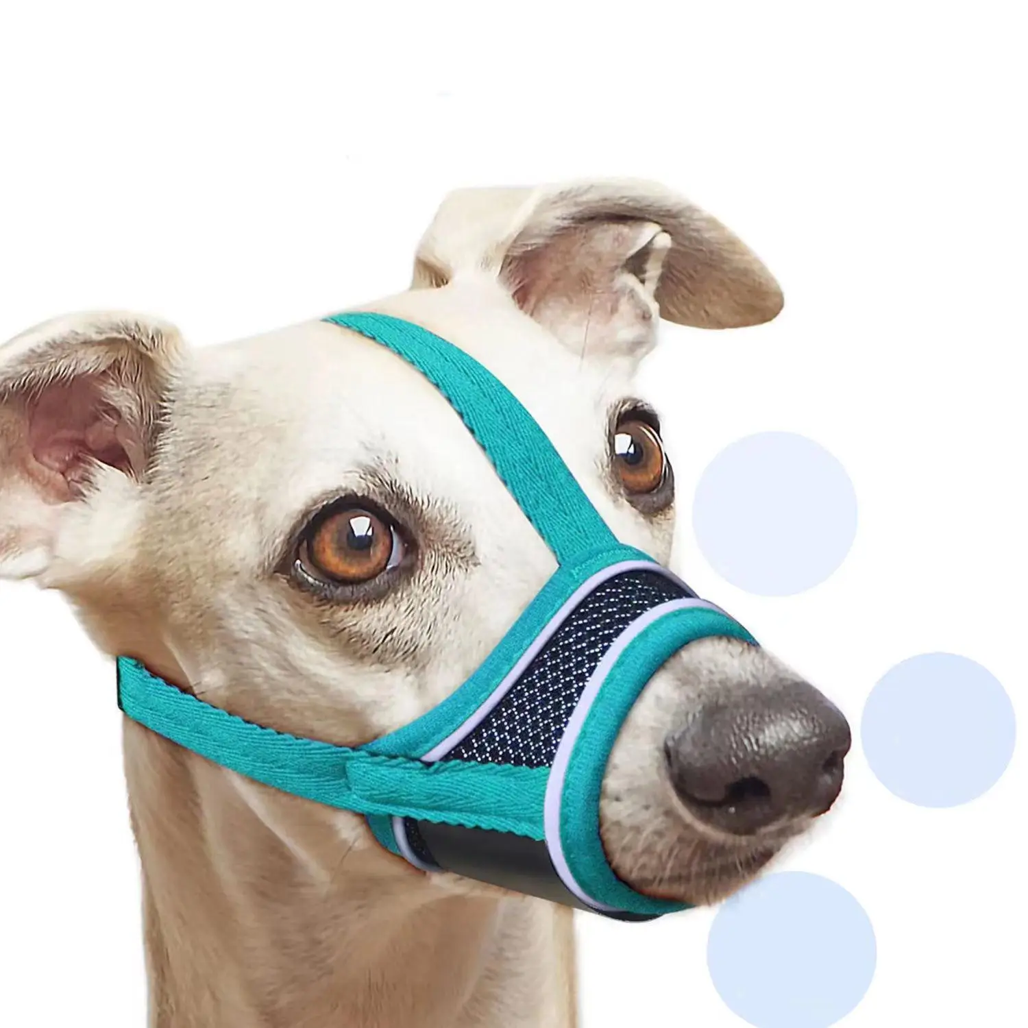 Adjustable Dog Muzzle, Breathable Dog Muzzle, Pet Muzzle, Dog & Cat Accessories, Training & Behaviour Aids for Dogs