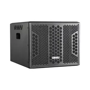 Vamav STX1040 10-Inch 800W Powered Subwoofer