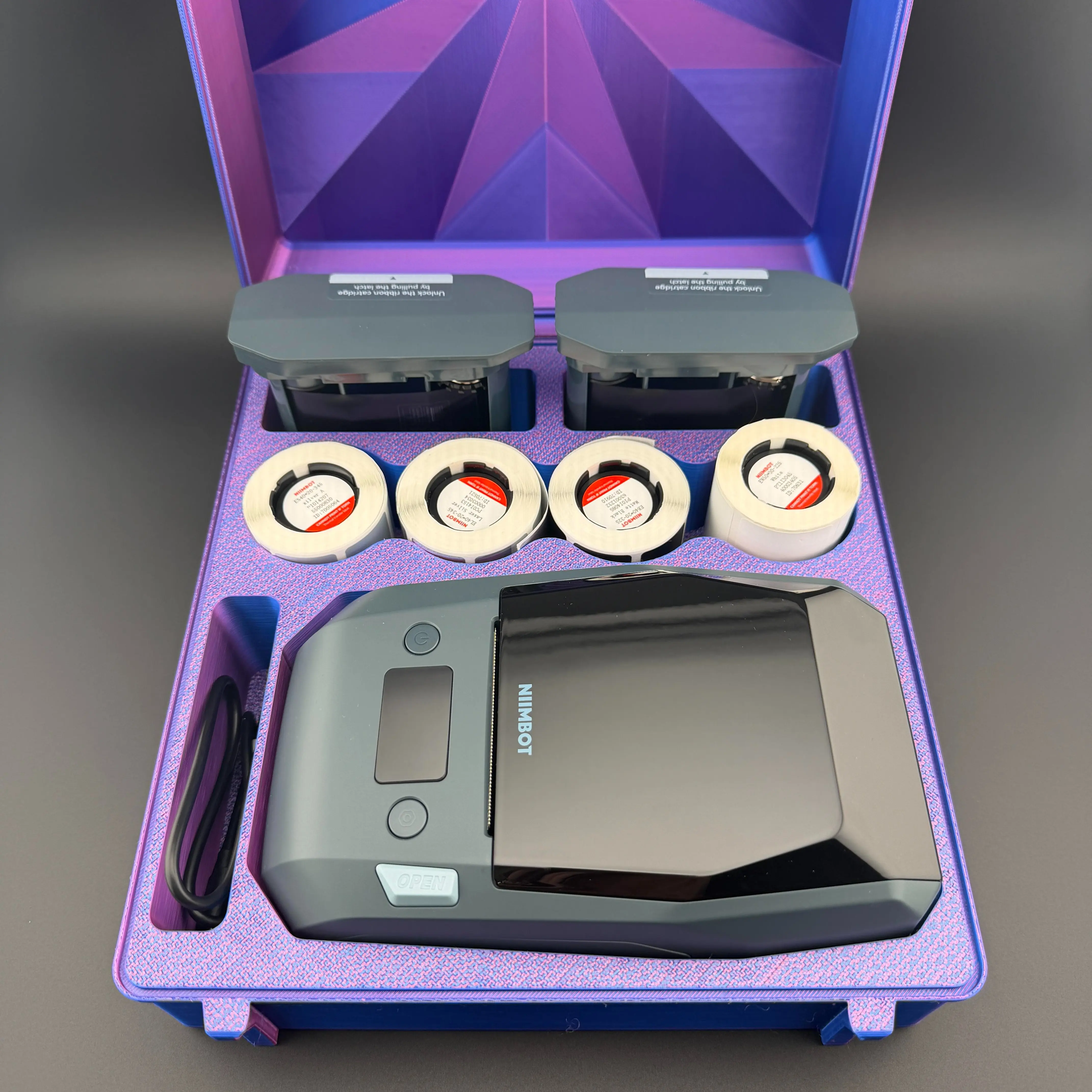 Niimbot M2 Organizing Case