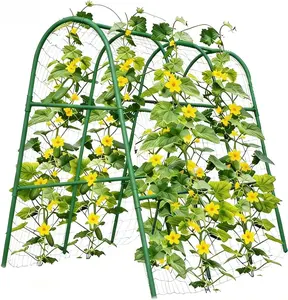 Garden Arch Trellis for Raised Beds, Plant Support for Cucumbers, Melons, Grapes, Roses & Climbing Vegetables, Outdoor Rust-Resistant Trellis for Vertical Growing