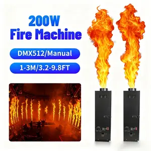 PAIDUN 200W Fire Machine Flamethrower Flame Effect Projector DMX512 DJ Music Show Disco Party Event