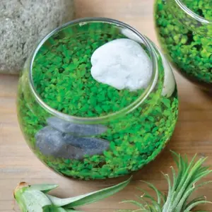 Water Garden Kit