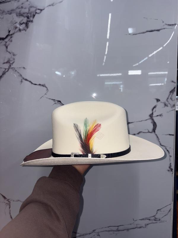 ORIGINAL TOMBSTONE CHAPARRAL 1000X PANTER BELICO COPA CHICA TOQUILLA NEGRA Classic Western Hat with Feather Accents