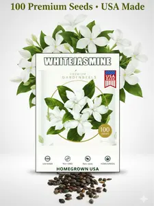 100pcs Jasmine Flower Seeds for Planting Climbing Jasmine Fragrant Plant Seeds Non-GMO Garden Home Garden Balcony Climbing Flower