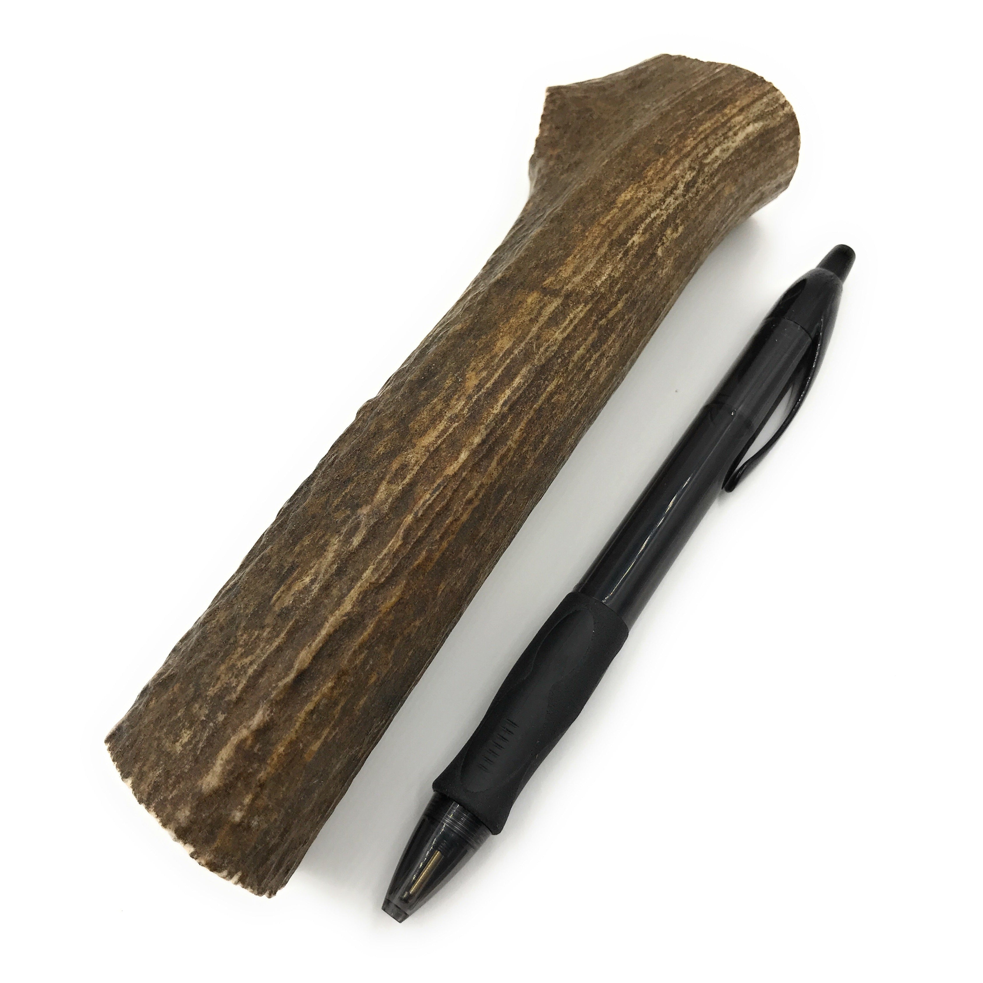 Heartland Antlers Medium Whole Elk Antler Dog Chew | 5–6" | 2–2.5 oz | Natural & Durable | For Moderate Chewers | USA Made