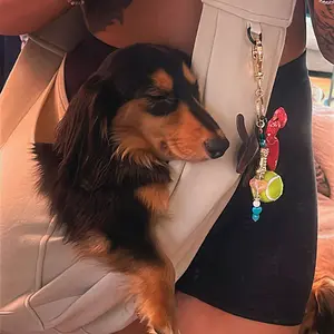 PAWPUBBY Dog & Cat Sling for Small and Medium Pets Up to 15lbs with Adjustable Padded Shoulder Breathable Portable Carrier for Outside Travel Shopping Animal