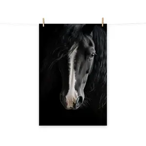 Midnight Majesty Photorealism Digital Artwork Unframed Art Print by Melissa Fague Equestrian Modern Farmhouse Minimalist Bohemian Dark Academia Wall Decor