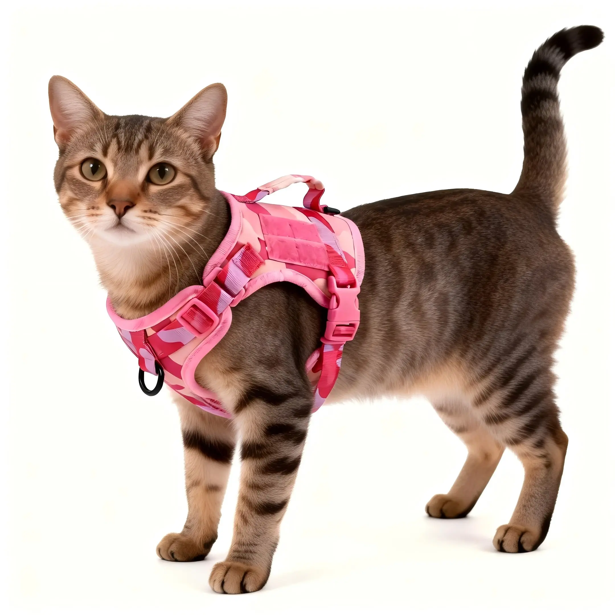 Adjustable tactical small dog harness for cats and small dogs , with 2 patches, outdoor dog accessories #backtoschool Adjustable tactical small dog harness for cats and small dogs , with 2 patches, outdoor dog accessories #backtoschool