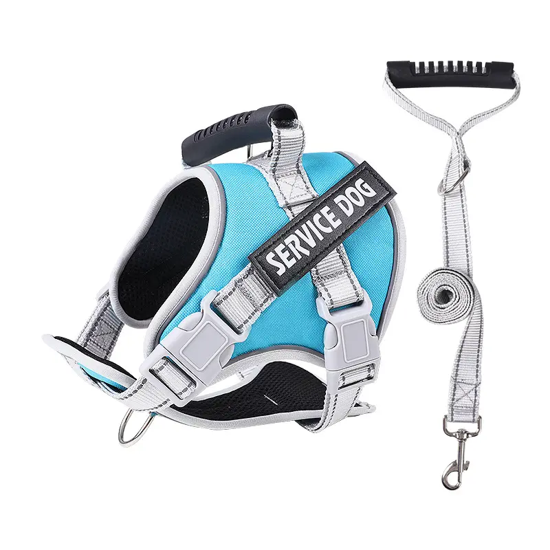 Light Blue [Harness + Leash]