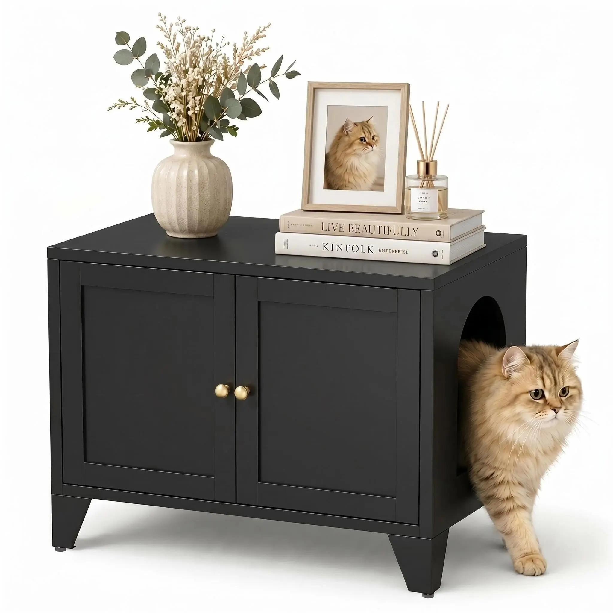 BIZOE Cat Litter Box Furniture with Removable Divider, Hidden Enclosure and End Table