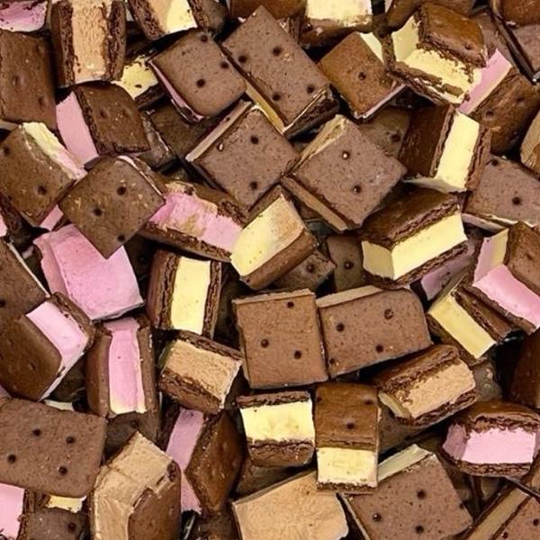 Freeze Dried NEAPOLITAN Ice Cream Sandwich Bites - TikTok Viral - Crunchy Ice Cream - Astronaut Candy